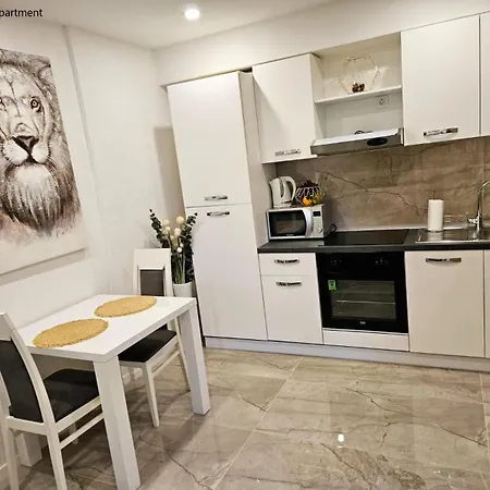 Apartment Sinkovic *