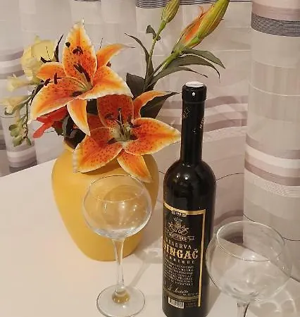 Sinkovic Apartament *