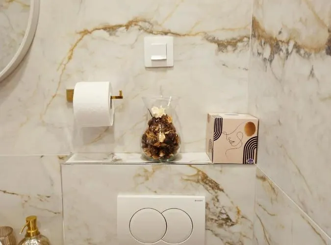 斯克维可公寓 *