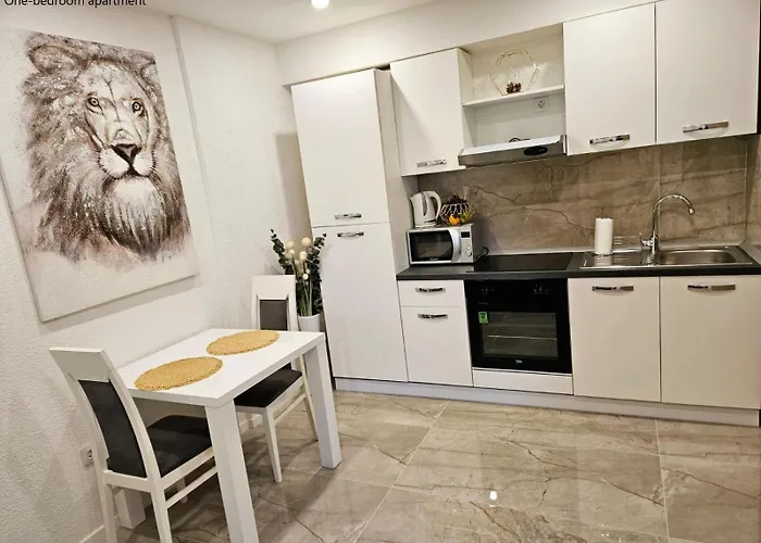 公寓 斯克维可公寓 *