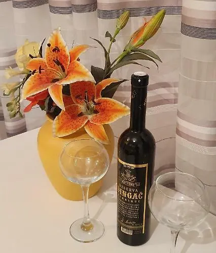 斯克维可公寓 公寓 *