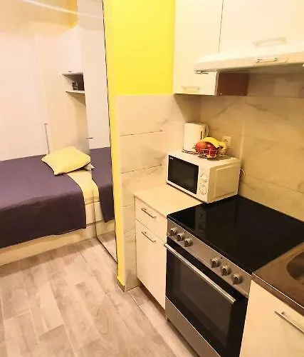 斯克维可公寓 公寓 *