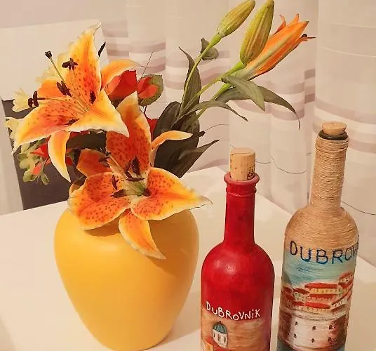 公寓 斯克维可公寓 *