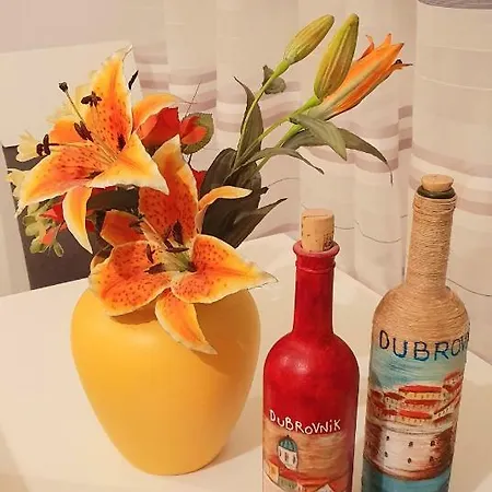 Appartement Sinkovic *